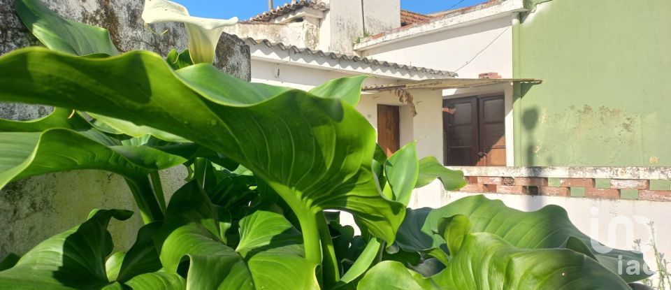 Traditional house T3 in Ventosa of 115 m²