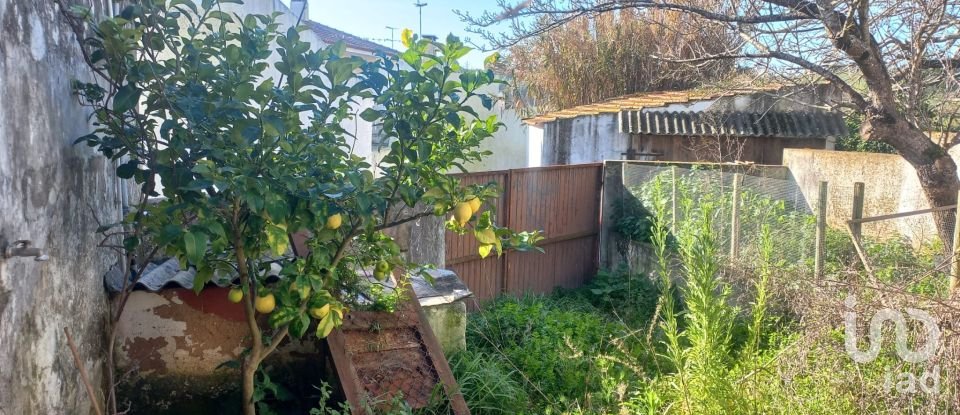 Pavilion T1 in Ventosa of 75 m²