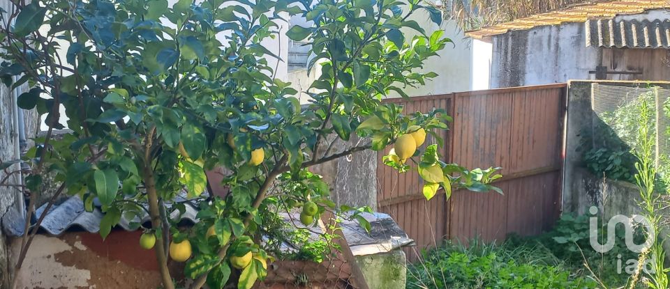 Pavilion T1 in Ventosa of 75 m²