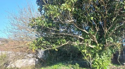 Land in Ventosa of 520 m²