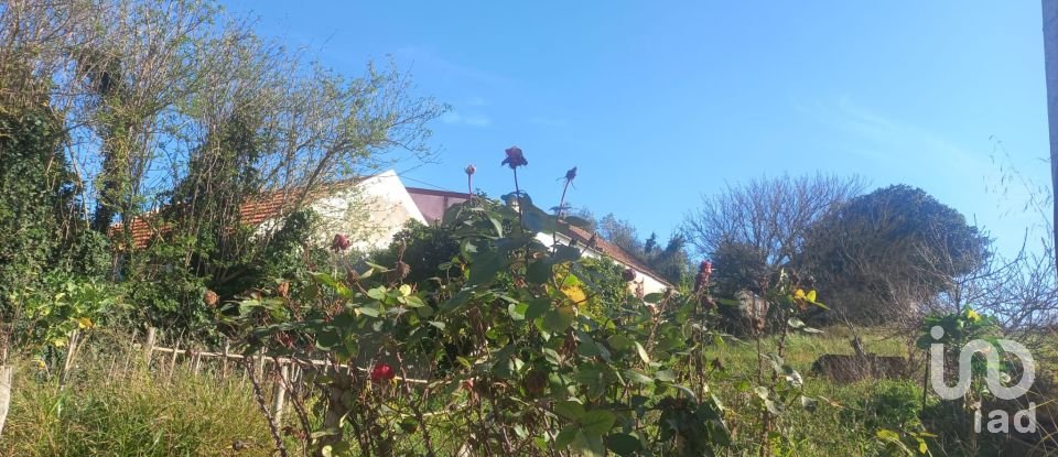 Terrain à Ventosa de 520 m²