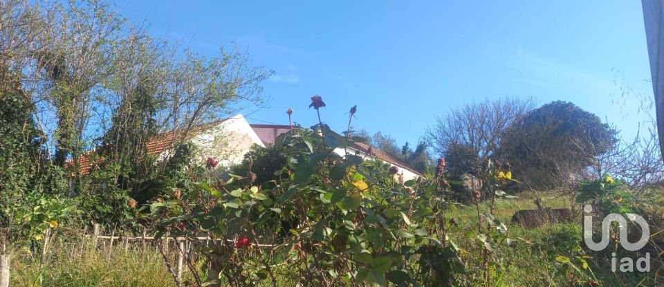 Terrain à Ventosa de 520 m²