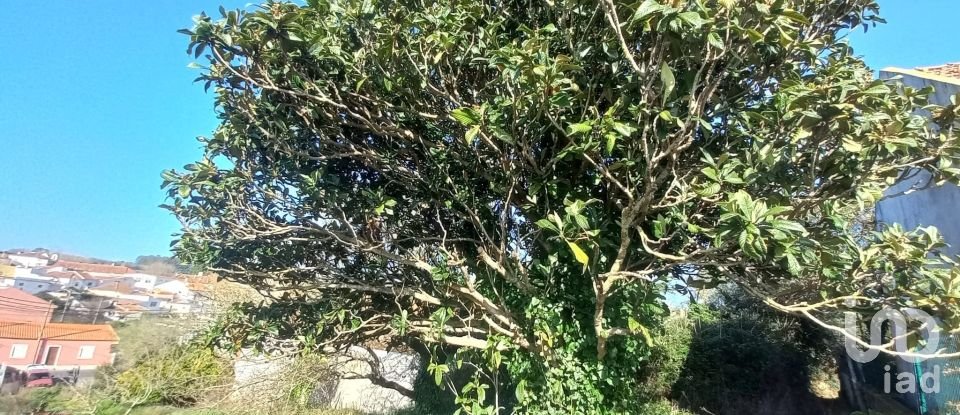 Terrain à Ventosa de 520 m²