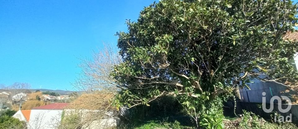 Terrain à Ventosa de 520 m²