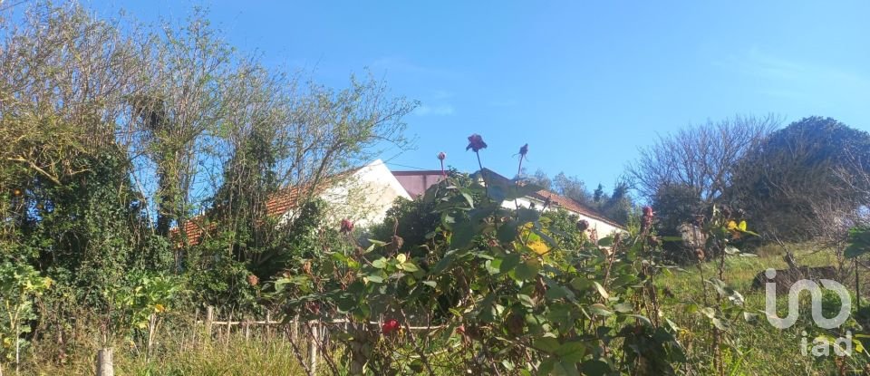 Terrain à Ventosa de 520 m²