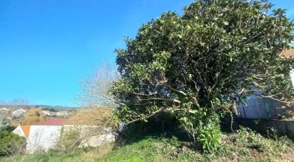 Land in Ventosa of 520 m²