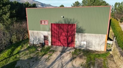 Pavilion T0 in Vila Marim of 370 m²