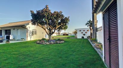 Maison rustique T4 à Válega de 359 m²