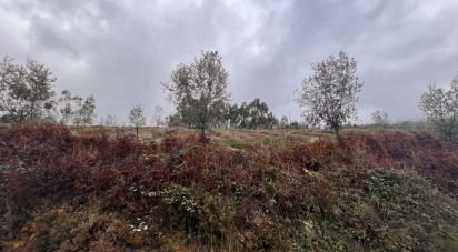 Terrain à Alvarenga de 500 m²