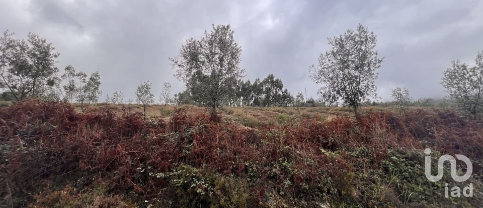 Terreno em Alvarenga de 500 m²