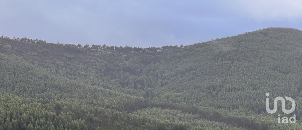 Terreno em Alvarenga de 500 m²