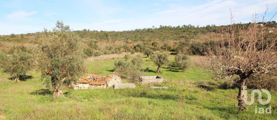 Land in Casais e Alviobeira of 39,720 m²