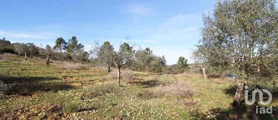 Land in Casais e Alviobeira of 39,720 m²
