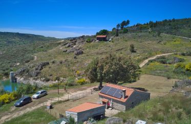 Farm T3 in Celorico (São Pedro e Santa Maria) e Vila Boa do Mondego of 300,000 m²