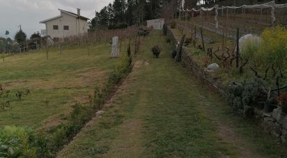 Terrain à Torgueda de 3 600 m²