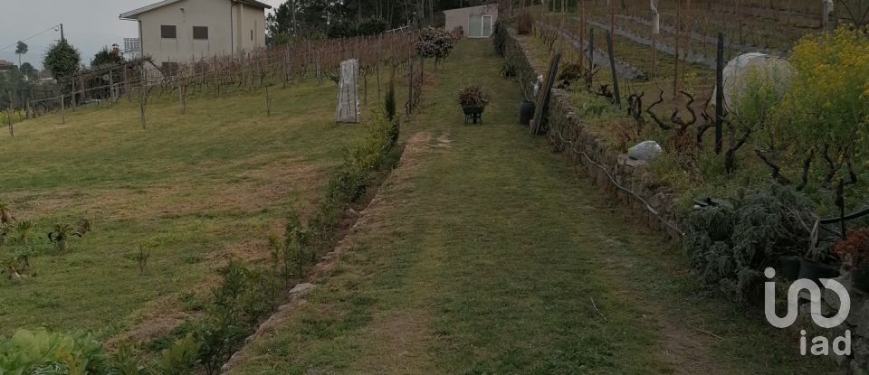 Land in Torgueda of 3,600 m²