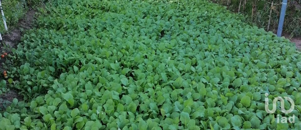 Land in Torgueda of 3,600 m²