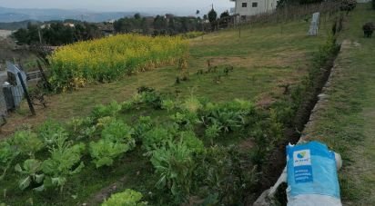 Terrain à Torgueda de 3 600 m²
