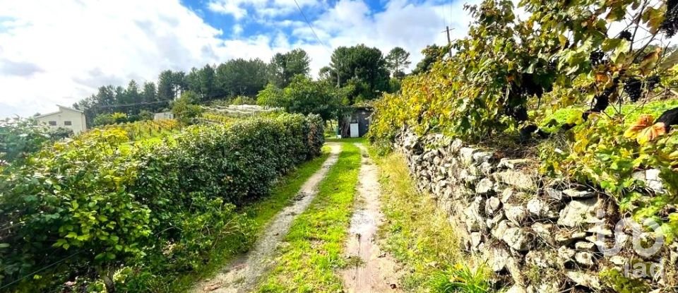 Land in Torgueda of 3,600 m²