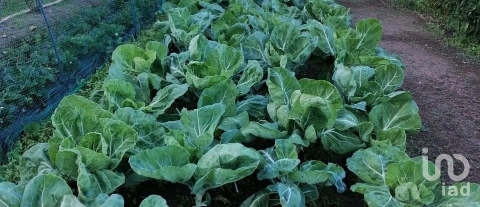 Land in Torgueda of 3,600 m²