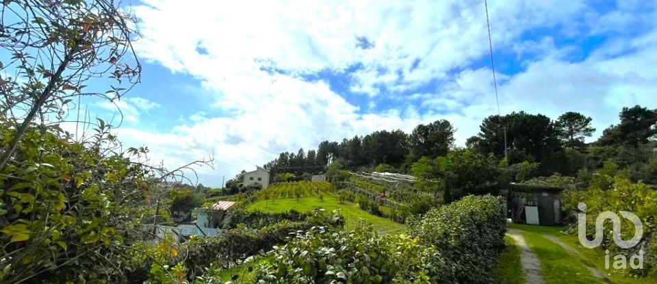 Land in Torgueda of 3,600 m²