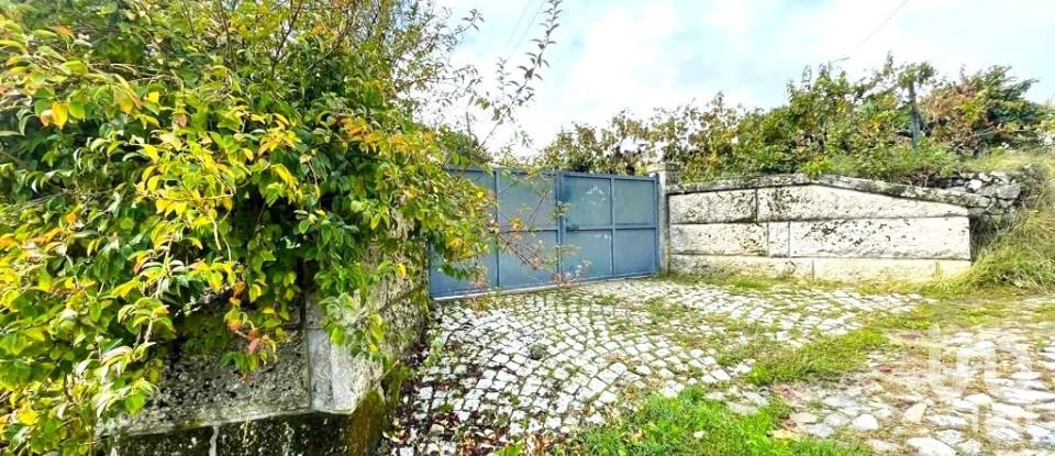 Land in Torgueda of 3,600 m²