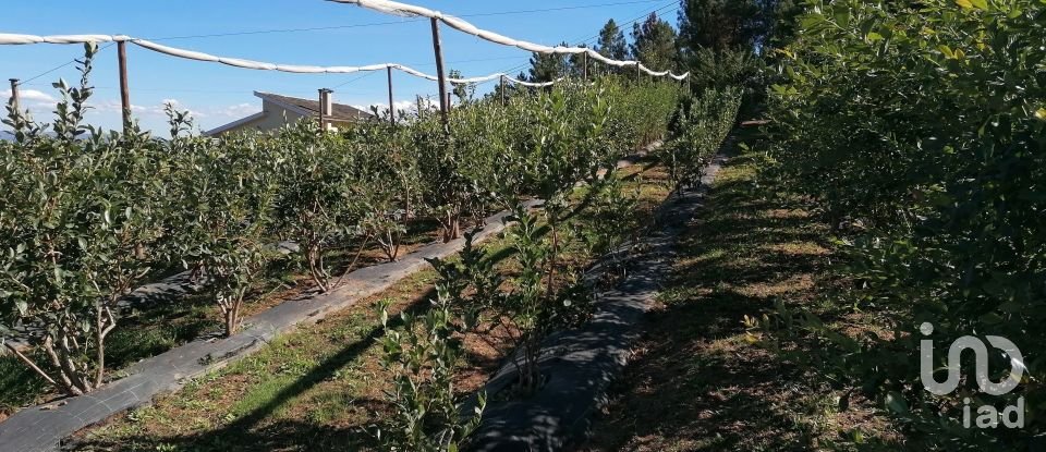 Land in Torgueda of 3,600 m²