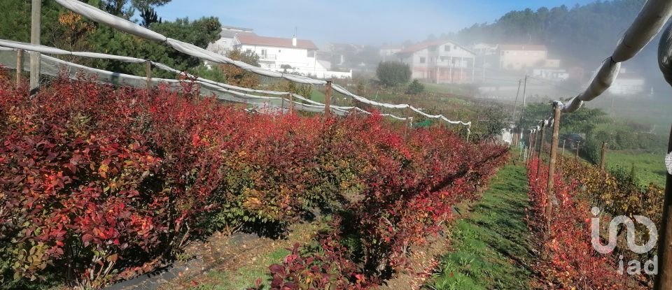 Land in Torgueda of 3,600 m²