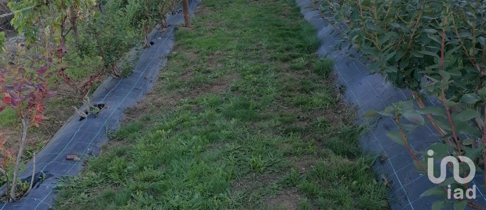 Land in Torgueda of 3,600 m²