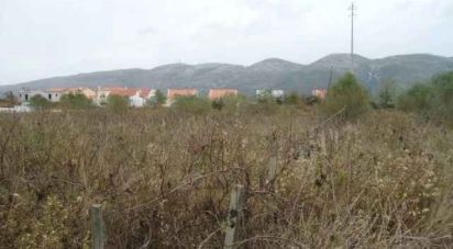 Land in Aljubarrota of 1,221 m²