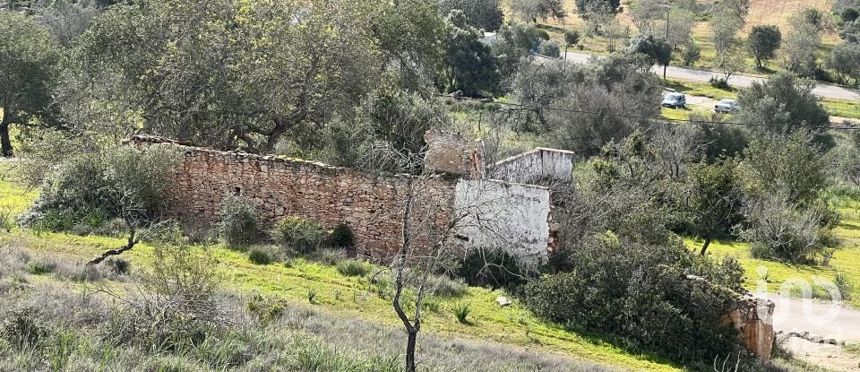 Maison rustique T2 à Algoz e Tunes de 240 m²