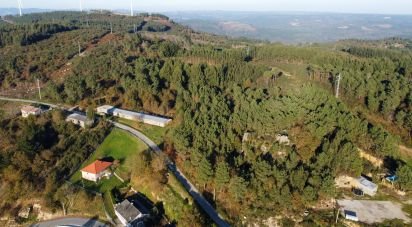 Terrain à Moledo de 9 040 m²