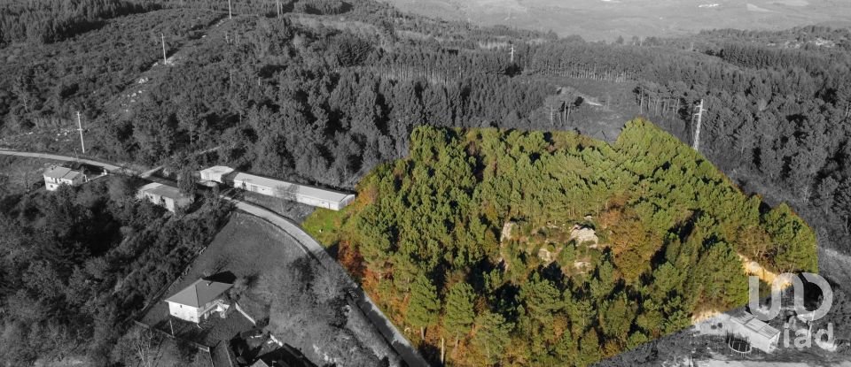 Terreno em Moledo de 9 040 m²