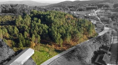 Terrain à Moledo de 9 040 m²