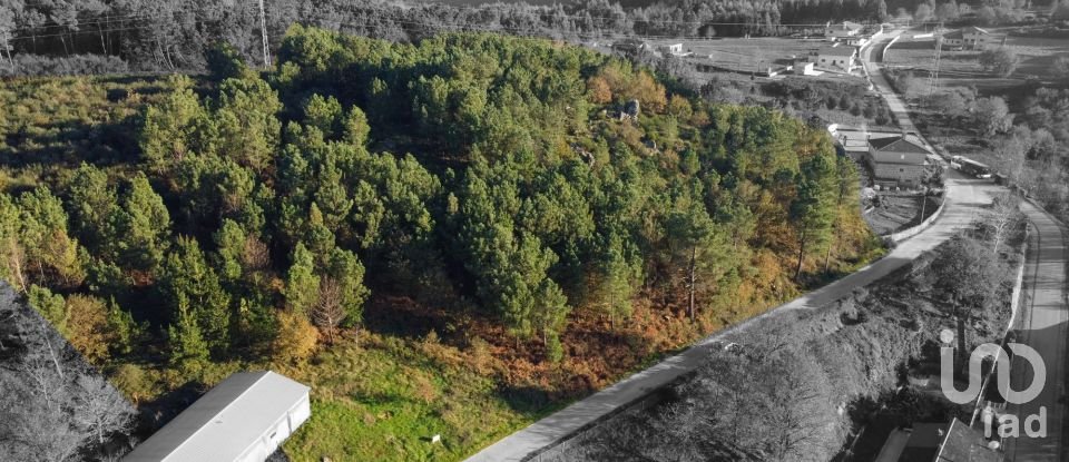 Terreno em Moledo de 9 040 m²