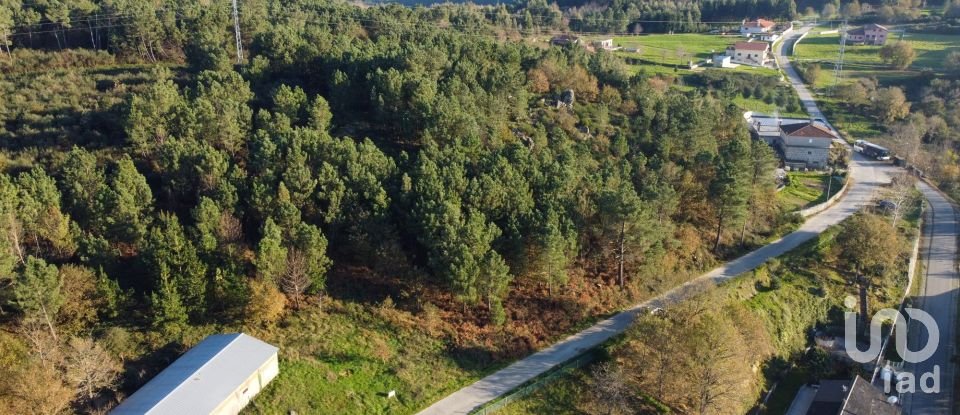 Terreno em Moledo de 9 040 m²