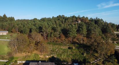 Terrain à Moledo de 9 040 m²