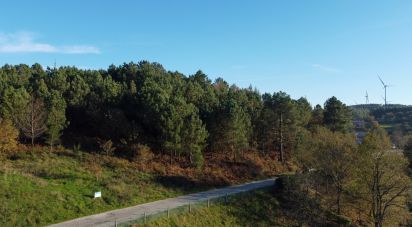 Terrain à Moledo de 9 040 m²