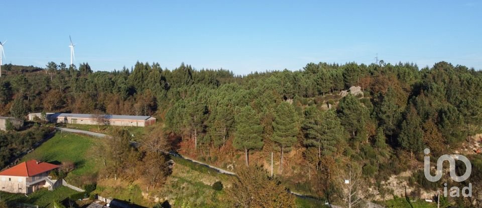 Terreno em Moledo de 9 040 m²