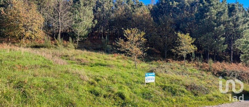 Terreno em Moledo de 9 040 m²
