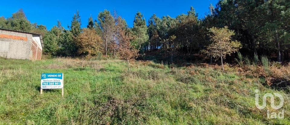 Terreno em Moledo de 9 040 m²