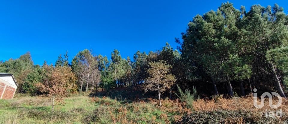 Terreno em Moledo de 9 040 m²