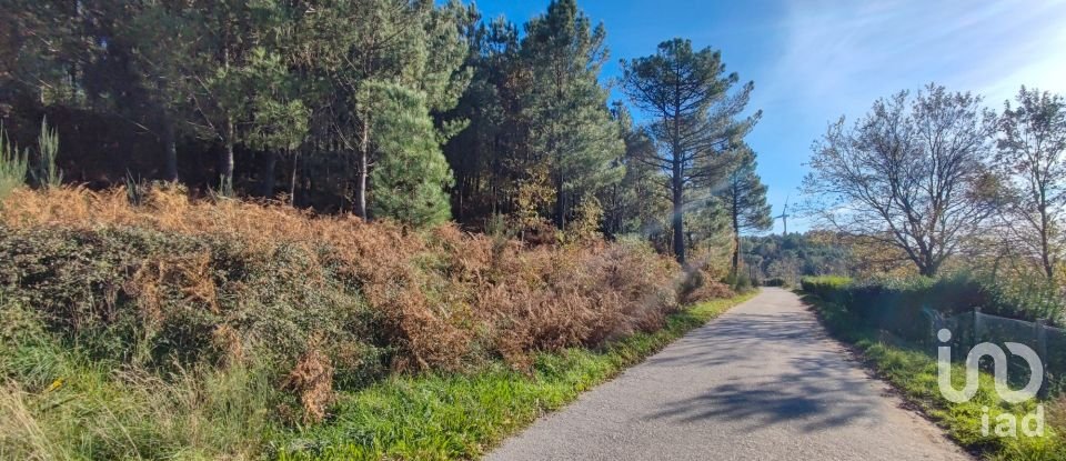 Terreno em Moledo de 9 040 m²