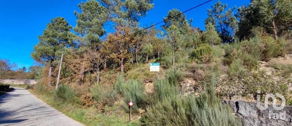 Terreno em Moledo de 9 040 m²