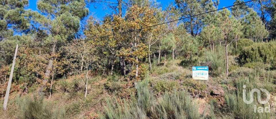 Terreno em Moledo de 9 040 m²