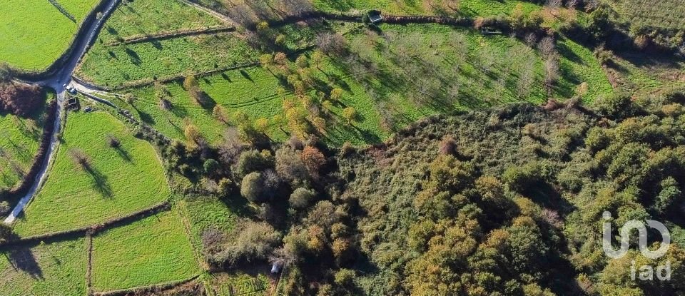 Terrain à Mões de 7 026 m²