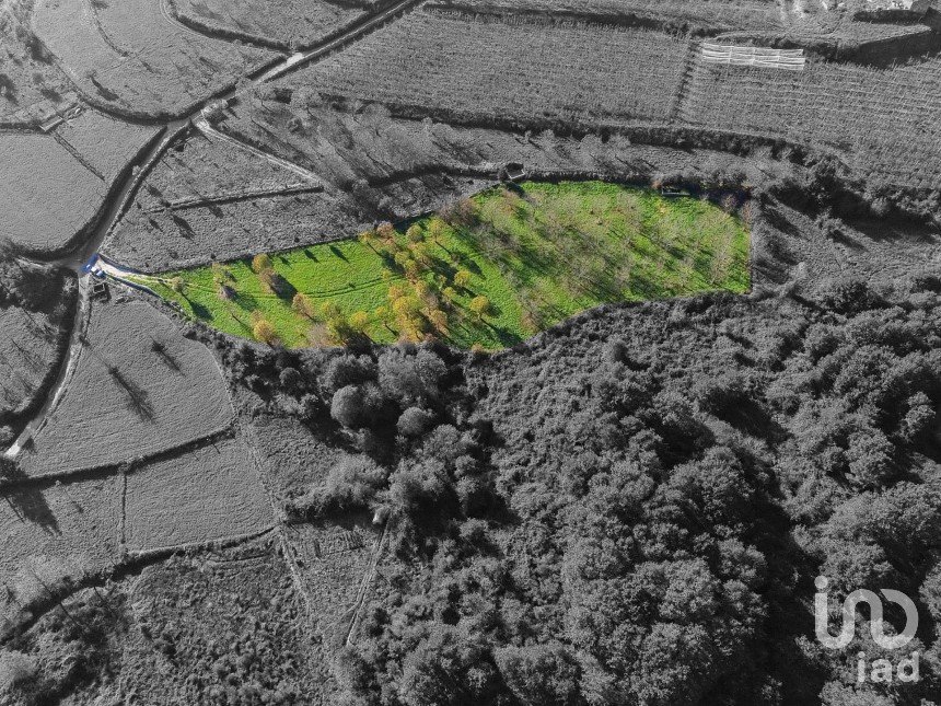 Terrain à Mões de 7 026 m²