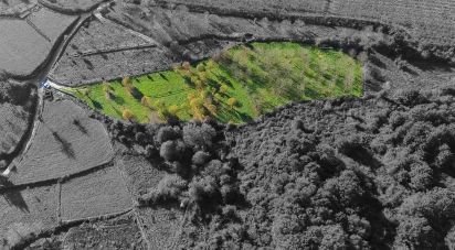 Terrain à Mões de 7 026 m²