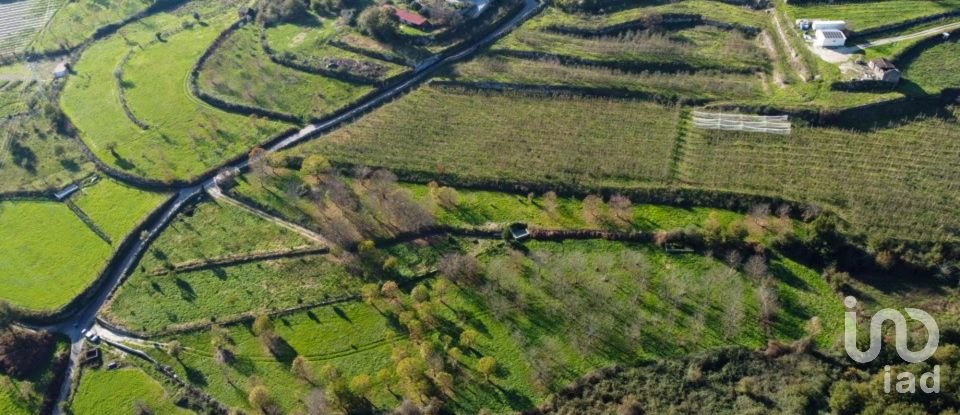 Terrain à Mões de 7 026 m²