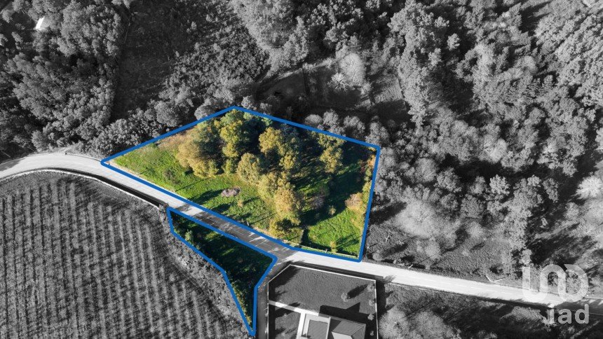 Terrain à Mões de 7 230 m²